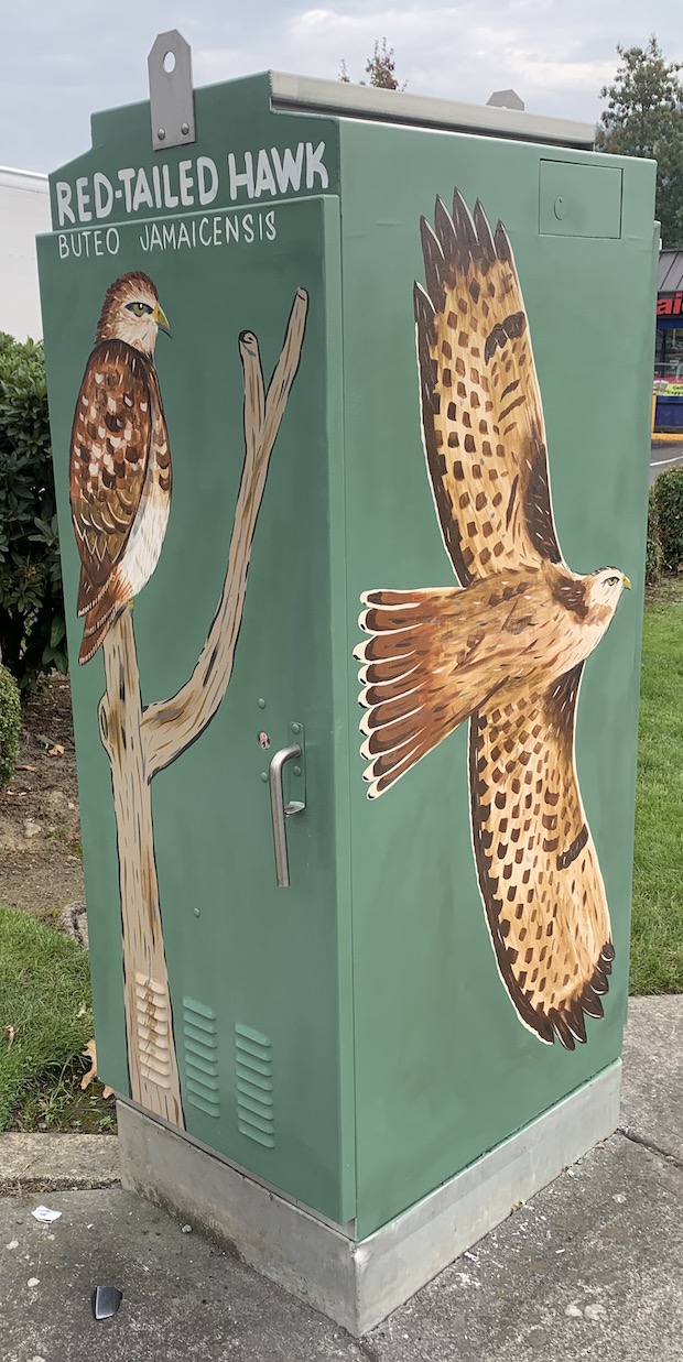 Finished electrical box with the Red-Tailed Hawk on two sides. 
                Left side: Hawk sitting on branch. Right side: Hawk flying.