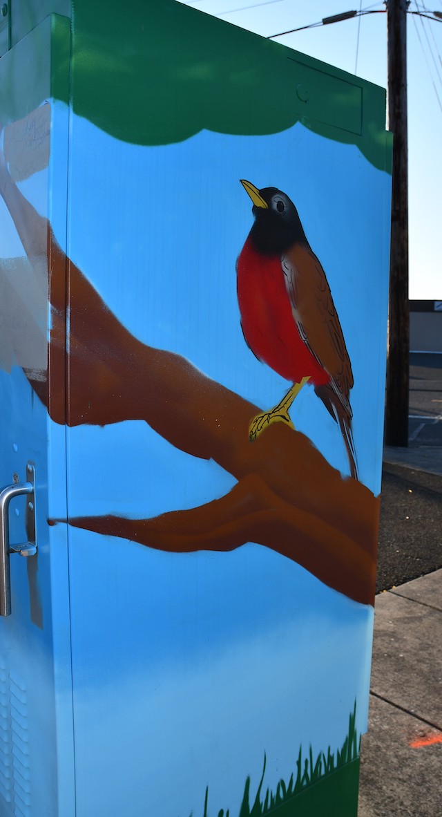 Finished electrical box painted with a Robin.