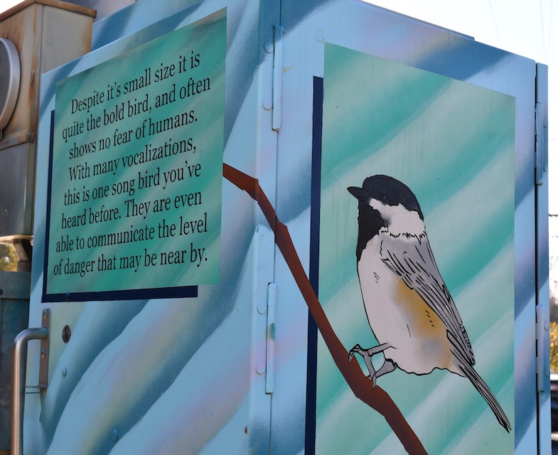 Finished electrical box painted with a songbird.