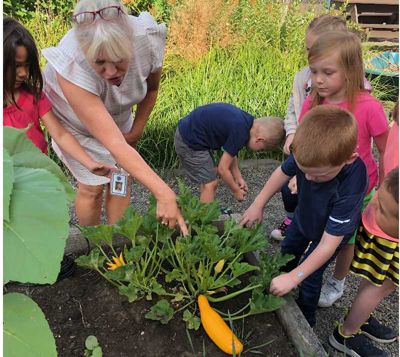 Students and teacher look at plant in garden